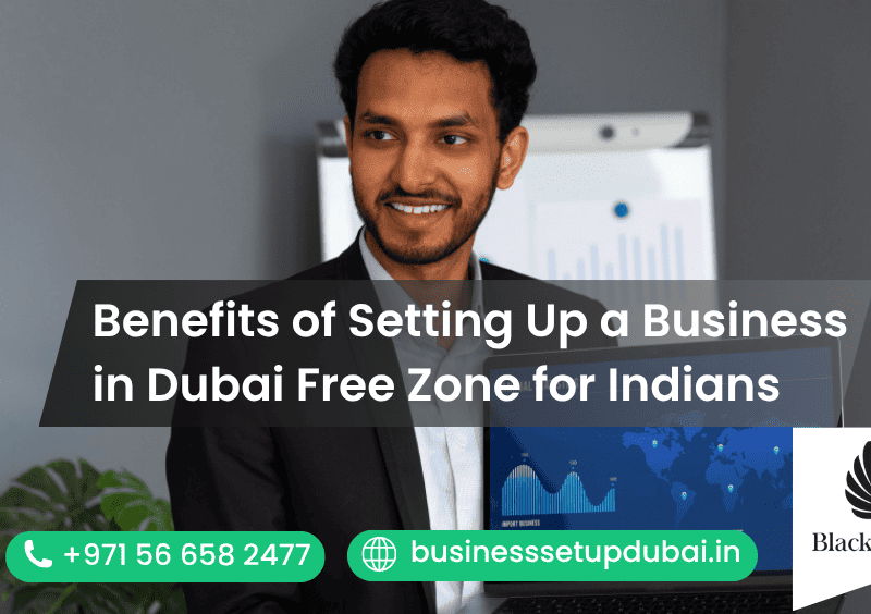 Benefits of Setting Up a Business in Dubai Free Zone for Indians