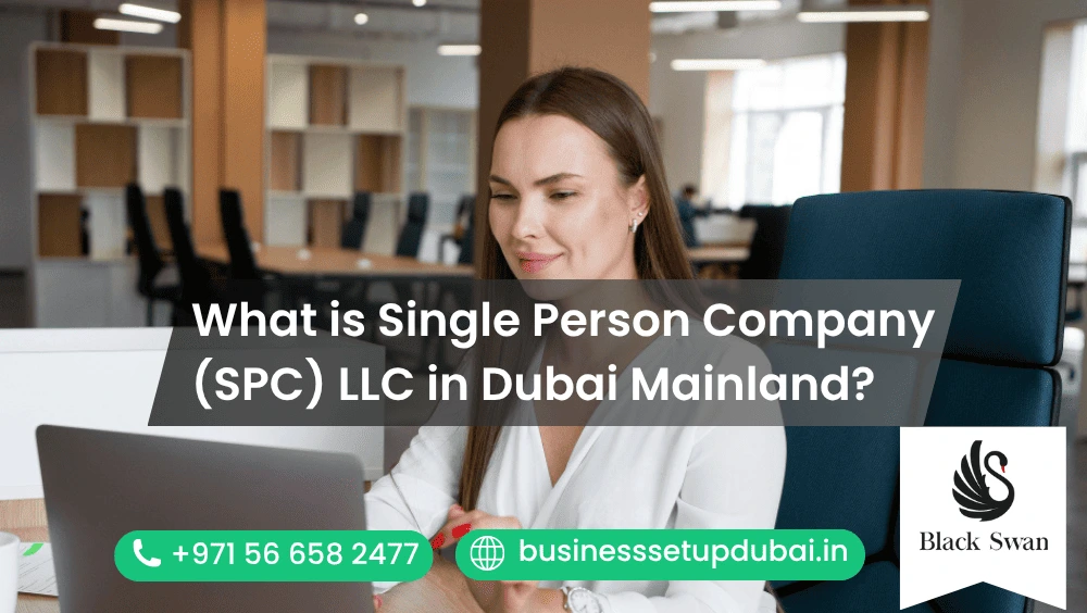 What is Single Person Company (SPC) LLC in Dubai Mainland?
