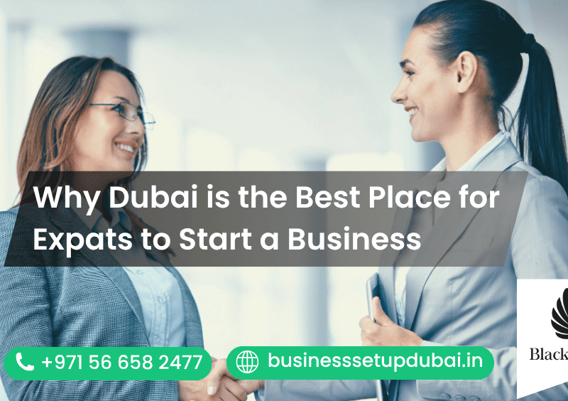 Why Dubai Is the Best Place for Expats to Start a Business?