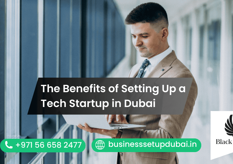 The Benefits of Setting Up a Tech Startup in Dubai